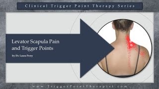 Levator Scapula Pain and Trigger Points [upl. by Jamima337]