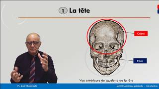 Anatomie générale  La tête [upl. by Lamp]