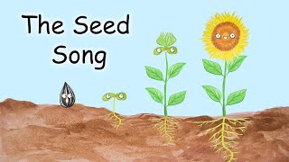 The Seed Song  What Do Seeds Need [upl. by Asirak]