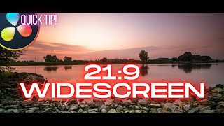 REAL 219 Cinematic Widescreen In Davinci Resolve  Quick Tip [upl. by Belinda]