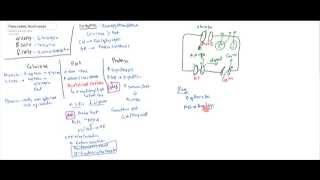 Pancreatic Hormones Insulin Glucagon Somatostatin [upl. by Assirehs]