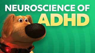 Neuroscience of ADHD [upl. by Asi]