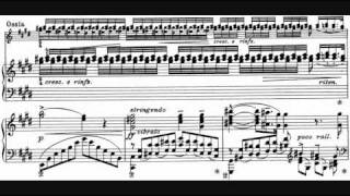 Liszt  Sonetto 104 del Petrarca S 161 No 5 André Laplante [upl. by Mab262]