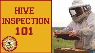 Hive Inspection Learn How to Perform a Spring Hive Inspection [upl. by Karie429]