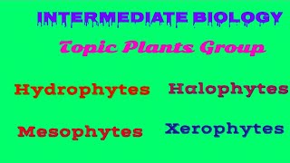 Hydrophytes plants Halophytes plant Mesophytes plant Xerophytes Plants group [upl. by Emile]