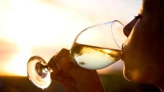 A winelovers guide to Pinot Grigio  The World of Wine [upl. by Itsyrk]