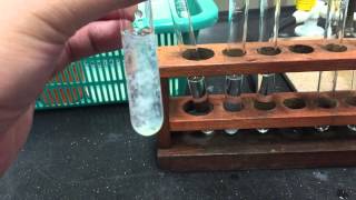 Cation Test Zinc Ions [upl. by Burrton741]