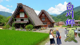 Shirakawago in the middle of summer 2021World Heritage Site 真夏の白川郷 4K 白川郷 [upl. by Sidwel]