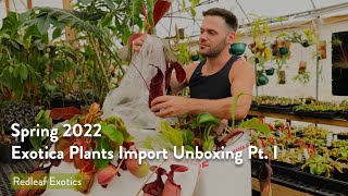 Spring 2022 Exotica Plants Box Opening Pt I [upl. by Ydnam]