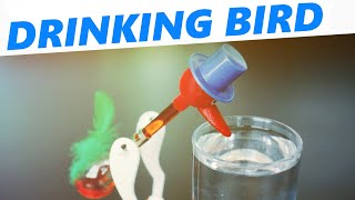 How a drinking bird toy works [upl. by Brenk]