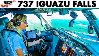 Piloting BOEING 737800 to Iguazu Falls  Cockpit Views [upl. by Eidissac371]