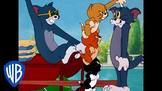 Tom amp Jerry in italiano  Classico Dei Cartoni Animati 103  WB Kids [upl. by Aniar]