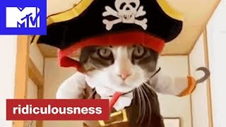 Most Ridiculous Pets 😺  Ridiculousness  MTV [upl. by Nepets]