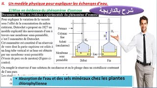 un modèle physique pour expliquer les échanges deau  expériences de Dutrochet شرح بالداريجة [upl. by Fredi413]