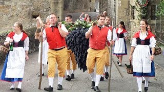 Kompletter Festzug Winzerfest Besigheim 2017 [upl. by Asile]