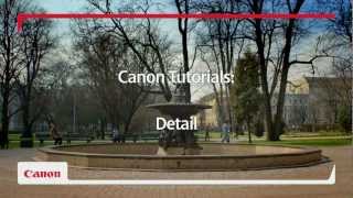 Capture Every Detail  Canon EOS 650D DSLR Camera Tutorial  Canon [upl. by Eusadnilem392]