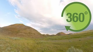 Grasslands in 360 [upl. by Doowle]