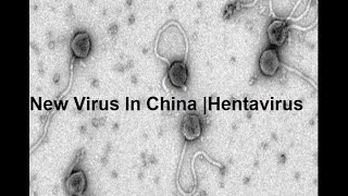 New Virus in China  HantaVirus [upl. by Yssak]