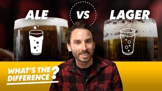 Ale vs Lager Beer — Whats the Difference [upl. by Engamrahc575]