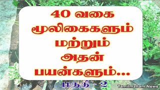 Herbs and their uses in tamil  40 herbal plants and their uses Part 2 [upl. by Burrow]