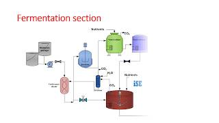 Ethyl alcohol manufacturing by molasses fermentation [upl. by Adelle]