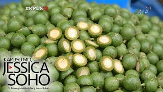 Kapuso Mo Jessica Soho Native fruits only in the Philippines [upl. by Norrie238]