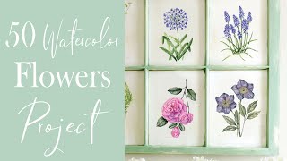 50 Watercolor Flowers Project  Botanical Painting Tutorial [upl. by Kong]