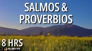 Salmos y Proverbios para dormir en paz  calma la ansiedad  8 HRS [upl. by Goldarina]