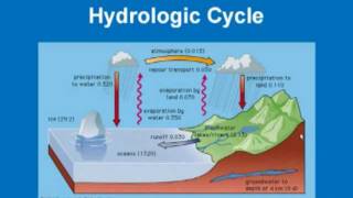 Limnology  Hydrologic Cycle [upl. by Deland]