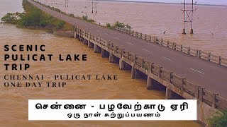 Pulicat Lake Tour  Chennai to Pulicat Lake AP One Day Trip  Scenic Route [upl. by Ayanej626]