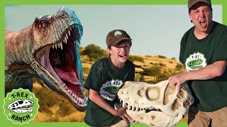 Learn About Dinosaurs Part 1  TRex Triceratops and More  Educational Video for Kids [upl. by Patrick222]