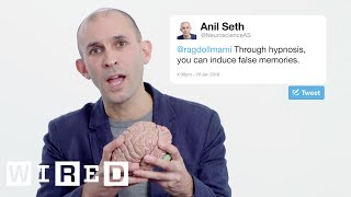 Neuroscientist Anil Seth Answers Neuroscience Questions From Twitter  Tech Support  WIRED [upl. by Bortz]