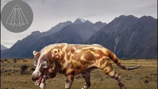 Andrewsarchus the Giant Hoofed Predator [upl. by Aidnahs445]