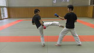 【KARATE TUTORIAL】Kumite Tactics Against Bigger Opponents [upl. by Liebowitz]