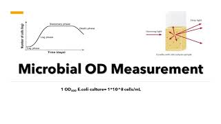 Microbial OD600 Measurement  Optical Density Measurement Principle and Method [upl. by Azeret588]