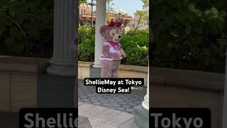 ShellieMay at Tokyo Disney Sea [upl. by Jesher]