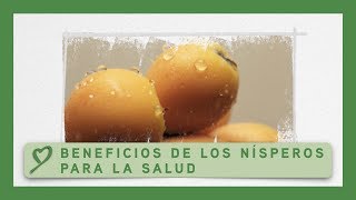 Beneficios de los NÍSPEROS para la salud [upl. by Pessa]