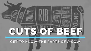 Cuts of Beef Get to Know the Parts of a Cow [upl. by Hahnert]