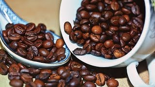 How to Grow your own Coffee [upl. by Shoshana]