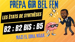 les états de synthèse  Bilan  B2  B2 bis  B5 [upl. by Anilag]