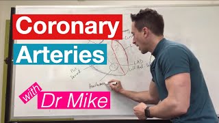 Coronary Arteries  Cardiology [upl. by Eltsyek]