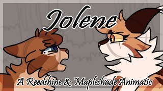 【Jolene  Reedshine amp Mapleshade  Animatic】 [upl. by Oilerua]