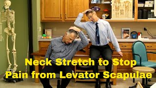 Fastest Neck Stretch to Stop Pain from Levator Scapulae [upl. by Hayes]