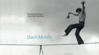 Bach  Motets  Gardiner  Monteverdi Choir [upl. by Ramunni553]