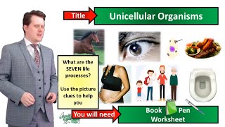 Unicellular Organisms  Biology  KS3  Key Stage 3  Mr Deeping [upl. by Cthrine]