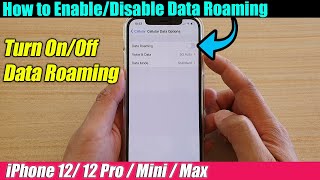 iPhone 1212 Pro How to EnableDisable Data Roaming [upl. by Lertnahs]