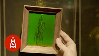 The LaserBased Science Behind 3D Holograms [upl. by Erdnassak752]