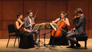 Beethoven String Quartet Op 132 in A Minor  Ariel Quartet full [upl. by Wunder]