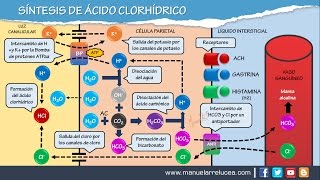 SÍNTESIS DE ÁCIDO CLORHÍDRICO HCL [upl. by Einaffets]