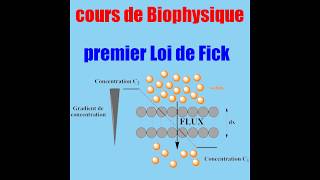 Biophysique  premier loi de FICK diffusion [upl. by Aisilef]